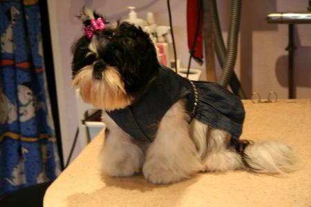 BACCARA EN ROBE JEANS ET STRASS